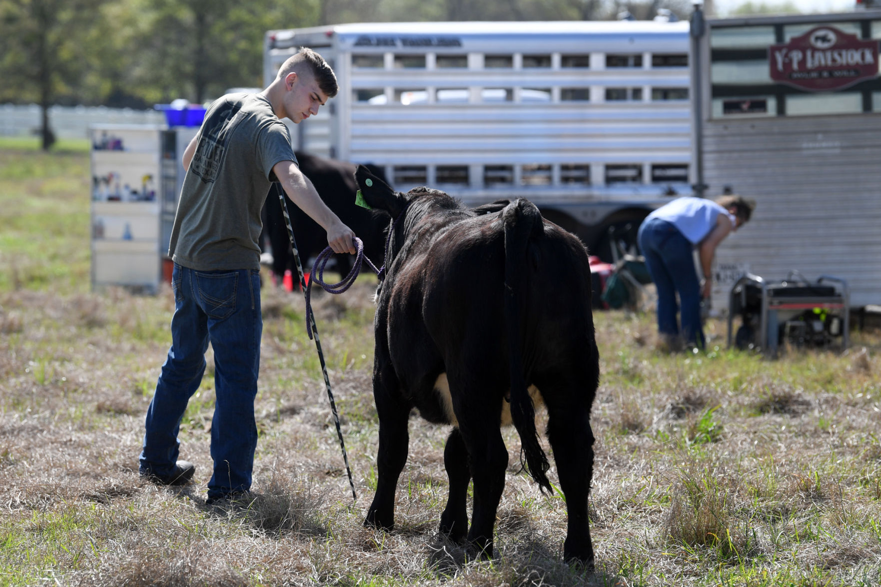 BTHO Coronavirus show